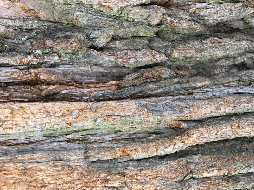 Aumont-Aubrac [16-04-2022](IMG_4817).jpg